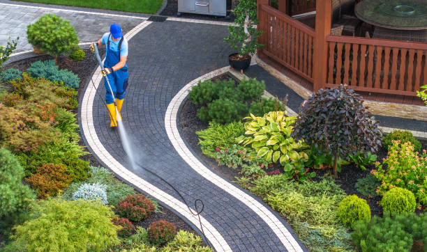 Best Commercial Building Pressure Washing  in , NV